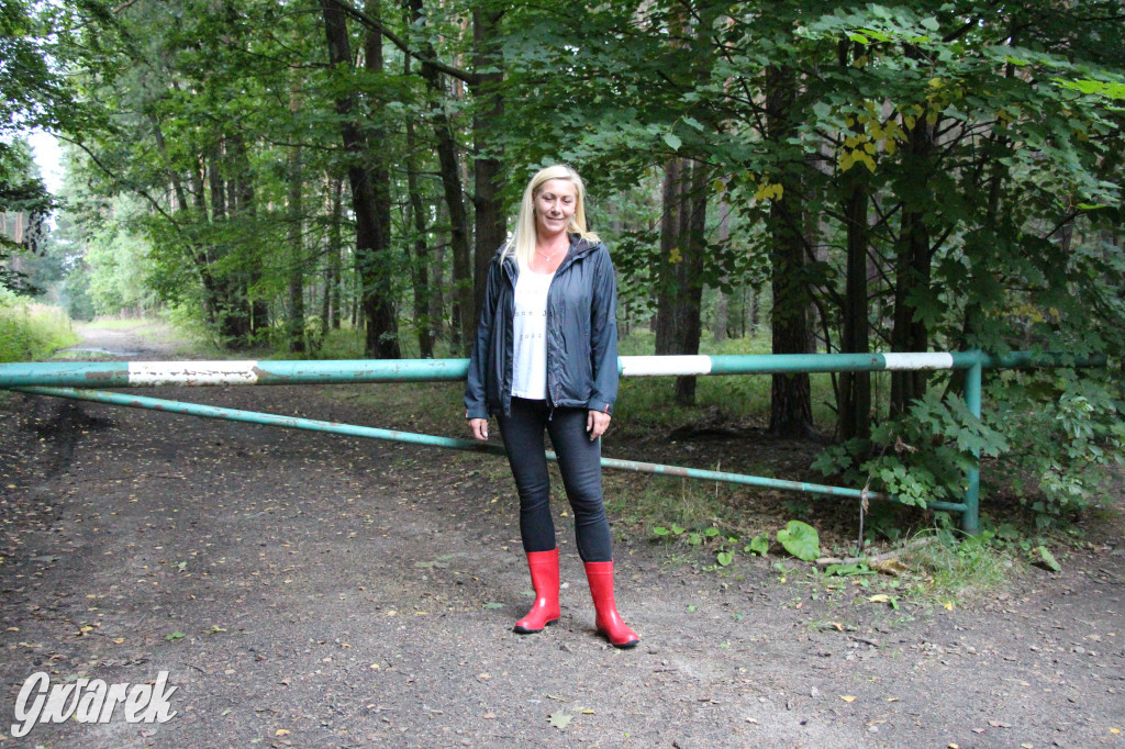 Sezon na grzyby, pełne parkingi przy lasach