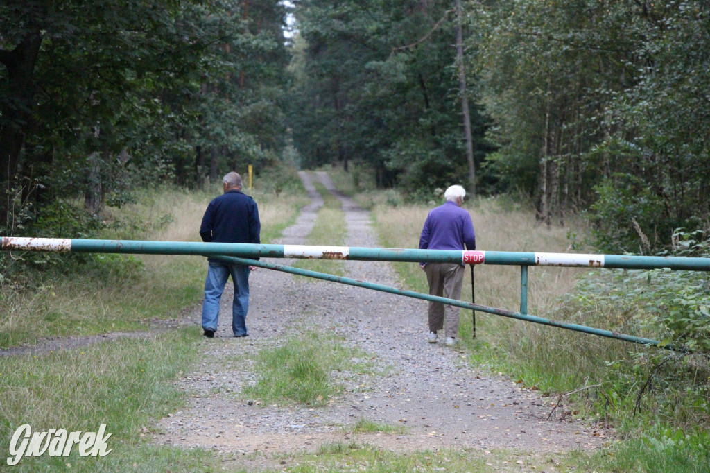 Sezon na grzyby, pełne parkingi przy lasach