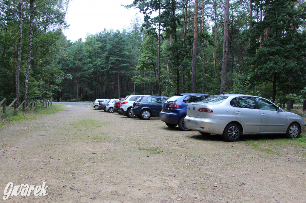 Sezon na grzyby, pełne parkingi przy lasach
