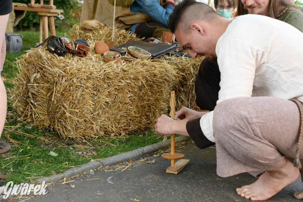 Wioska słowiańska - Tarnogórskie Centrum Kultury
