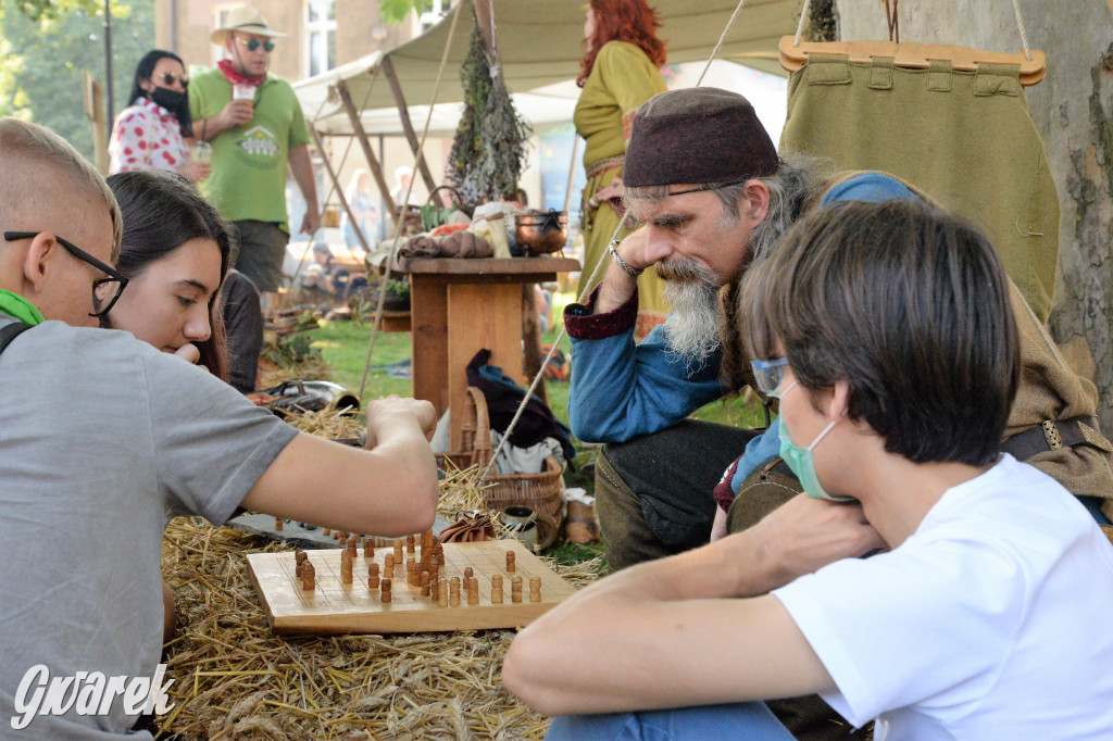 Wioska słowiańska - Tarnogórskie Centrum Kultury
