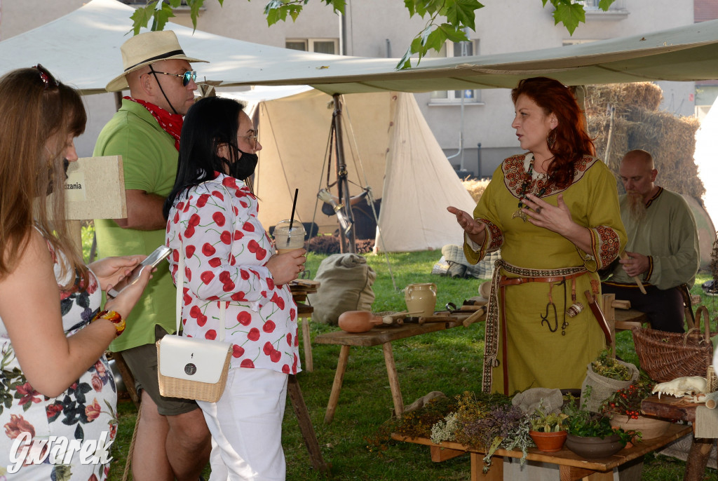 Wioska słowiańska - Tarnogórskie Centrum Kultury