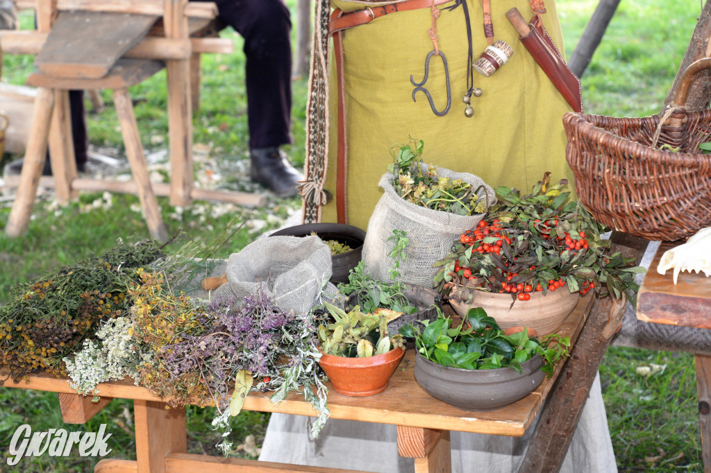 Wioska słowiańska - Tarnogórskie Centrum Kultury