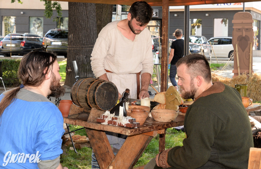 Wioska słowiańska - Tarnogórskie Centrum Kultury