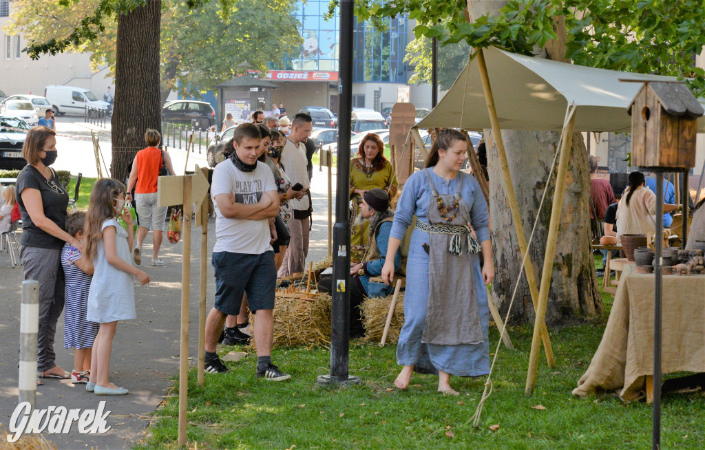 Wioska słowiańska - Tarnogórskie Centrum Kultury