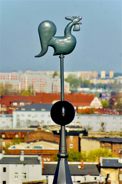 Najlepsza fotografia województwa śląskiego wybrana. TAURON ogłosił wyniki (zdjęcia)