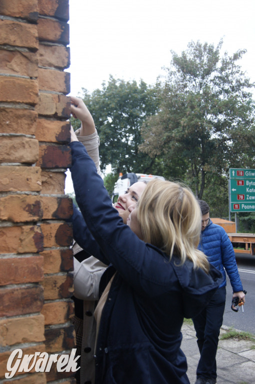 Społecznicy zajęli się cmentarzem żydowskim