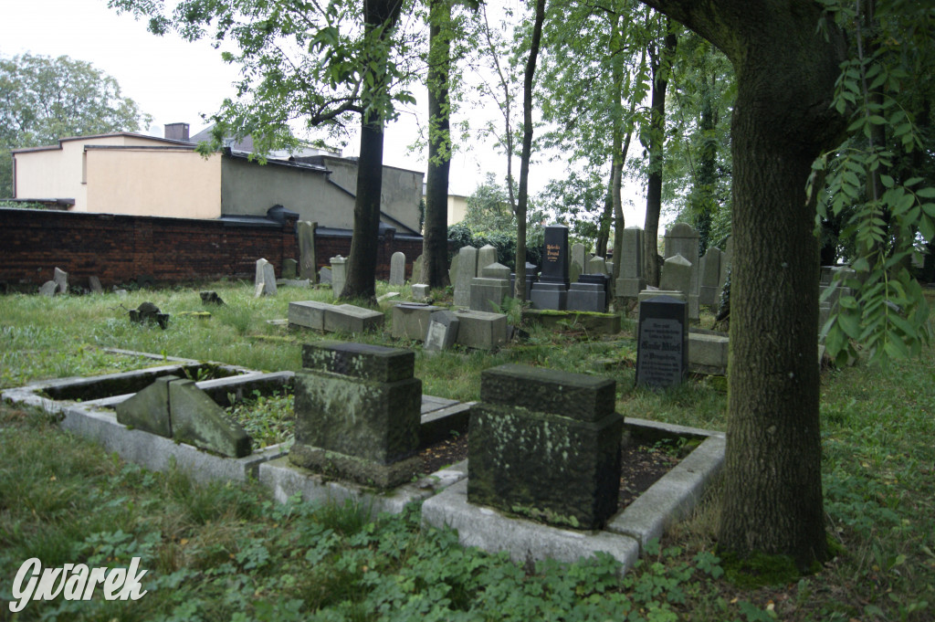 Społecznicy zajęli się cmentarzem żydowskim
