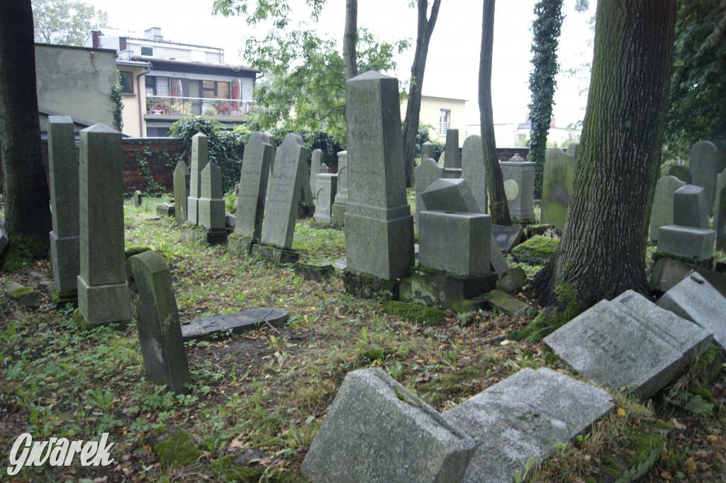 Społecznicy zajęli się cmentarzem żydowskim