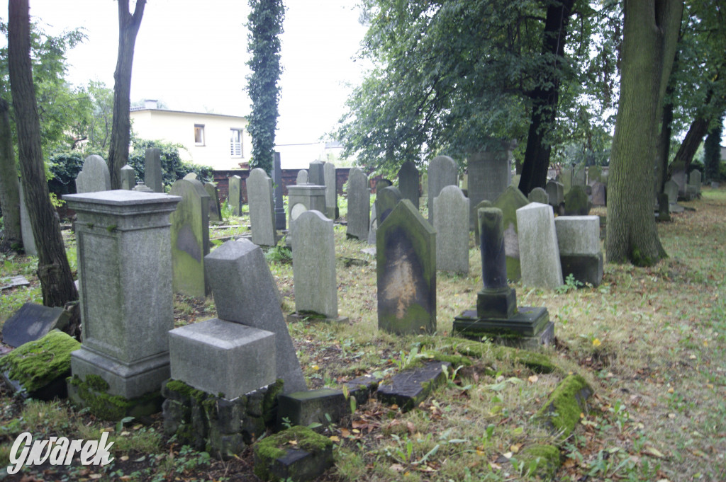 Społecznicy zajęli się cmentarzem żydowskim