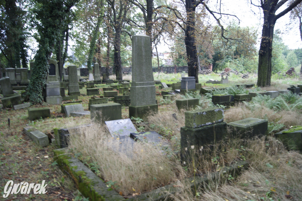 Społecznicy zajęli się cmentarzem żydowskim