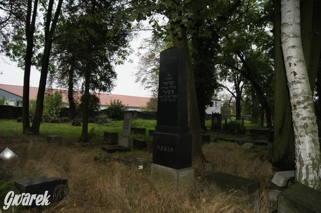 Społecznicy zajęli się cmentarzem żydowskim