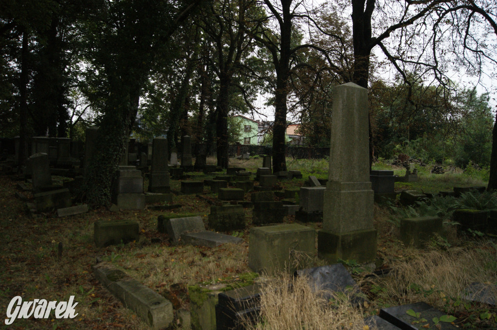 Społecznicy zajęli się cmentarzem żydowskim