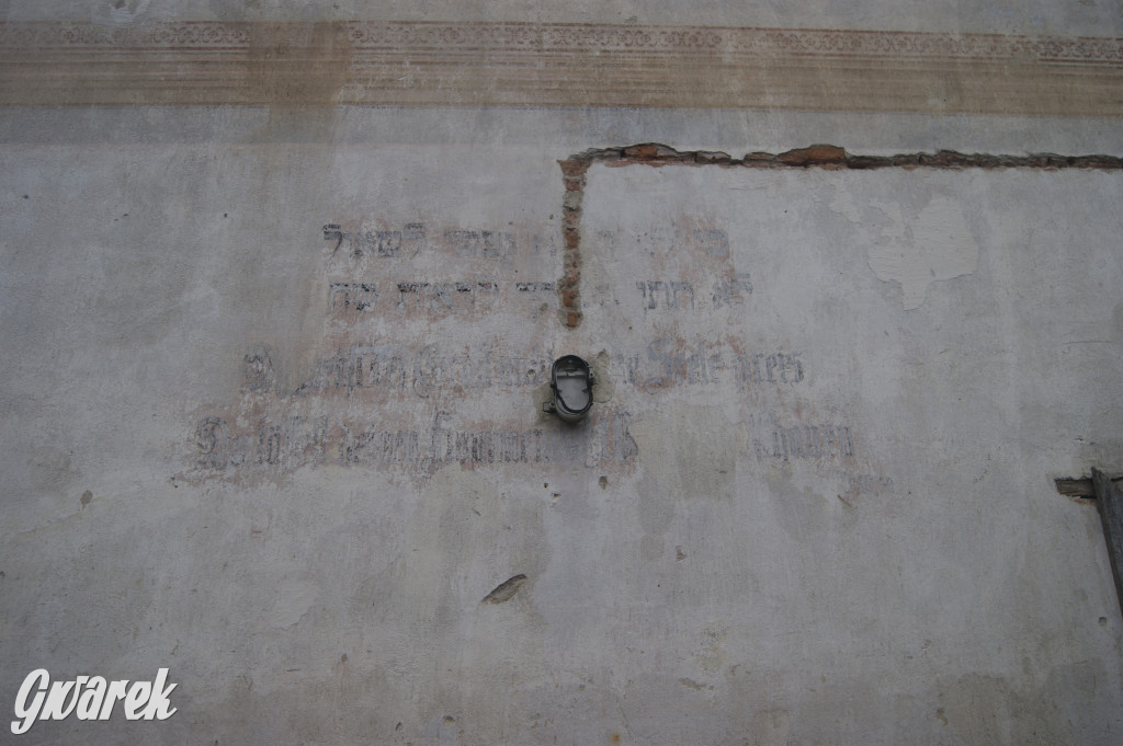 Społecznicy zajęli się cmentarzem żydowskim