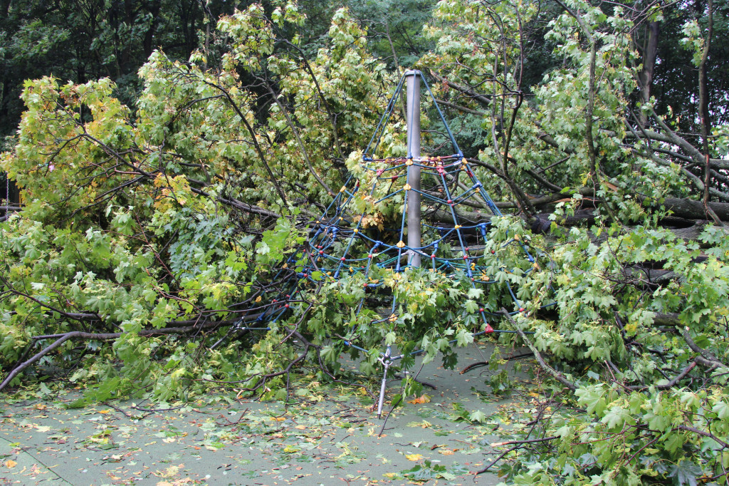 Tarnowskie Góry. Drzewo przewróciło się na plac zabaw w parku Miejskim