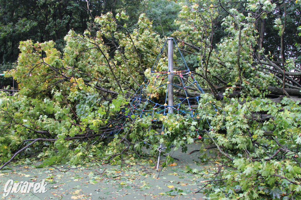 Tarnowskie Góry. Drzewo przewróciło się na plac zabaw w parku Miejskim