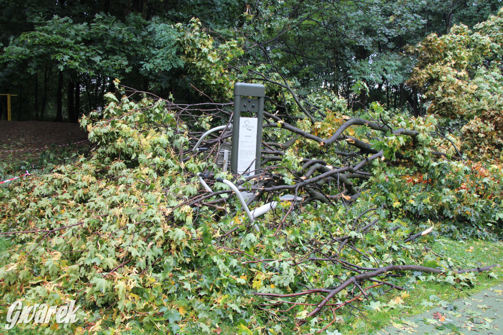 Tarnowskie Góry. Drzewo przewróciło się na plac zabaw w parku Miejskim