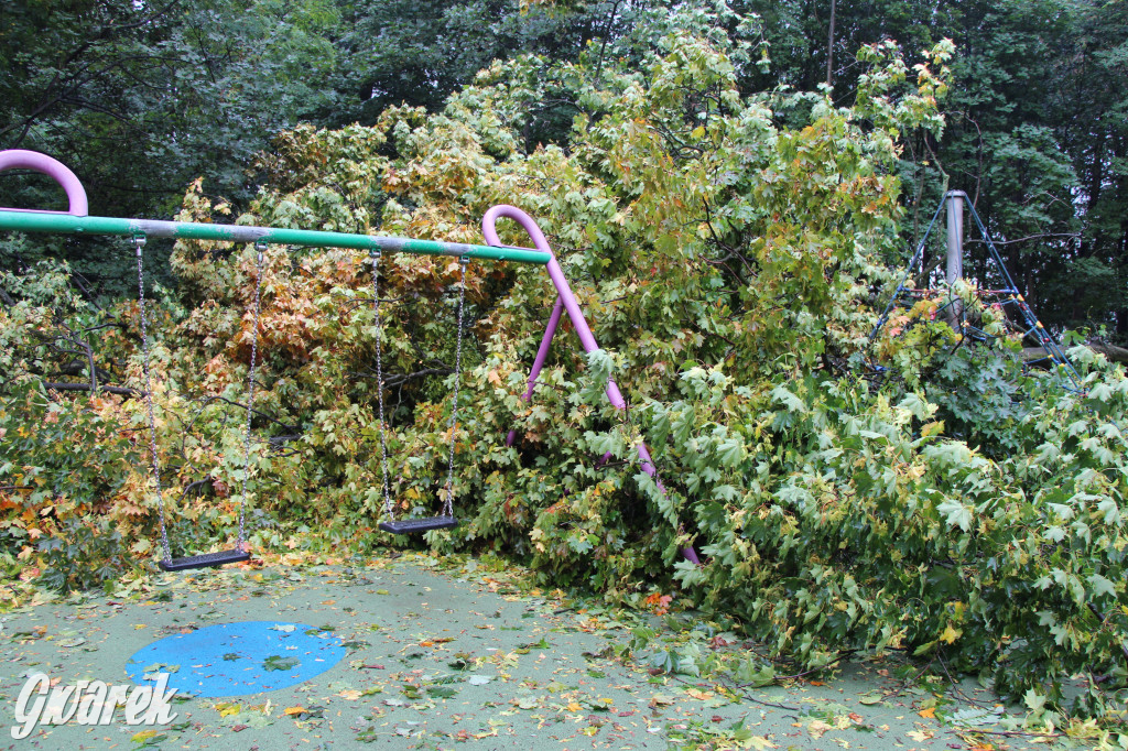 Tarnowskie Góry. Drzewo przewróciło się na plac zabaw w parku Miejskim