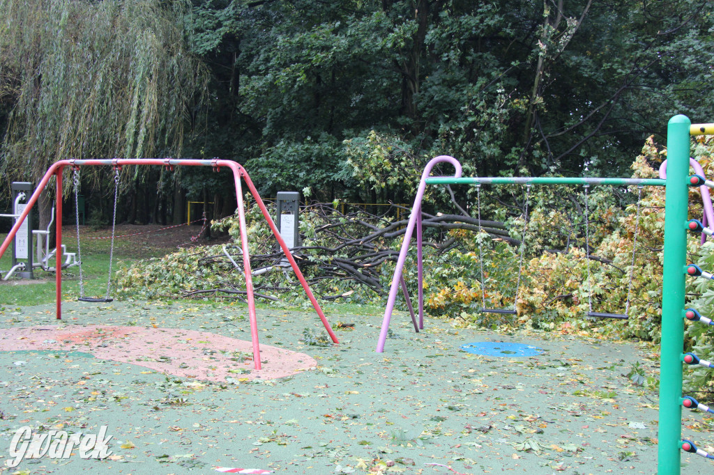 Tarnowskie Góry. Drzewo przewróciło się na plac zabaw w parku Miejskim