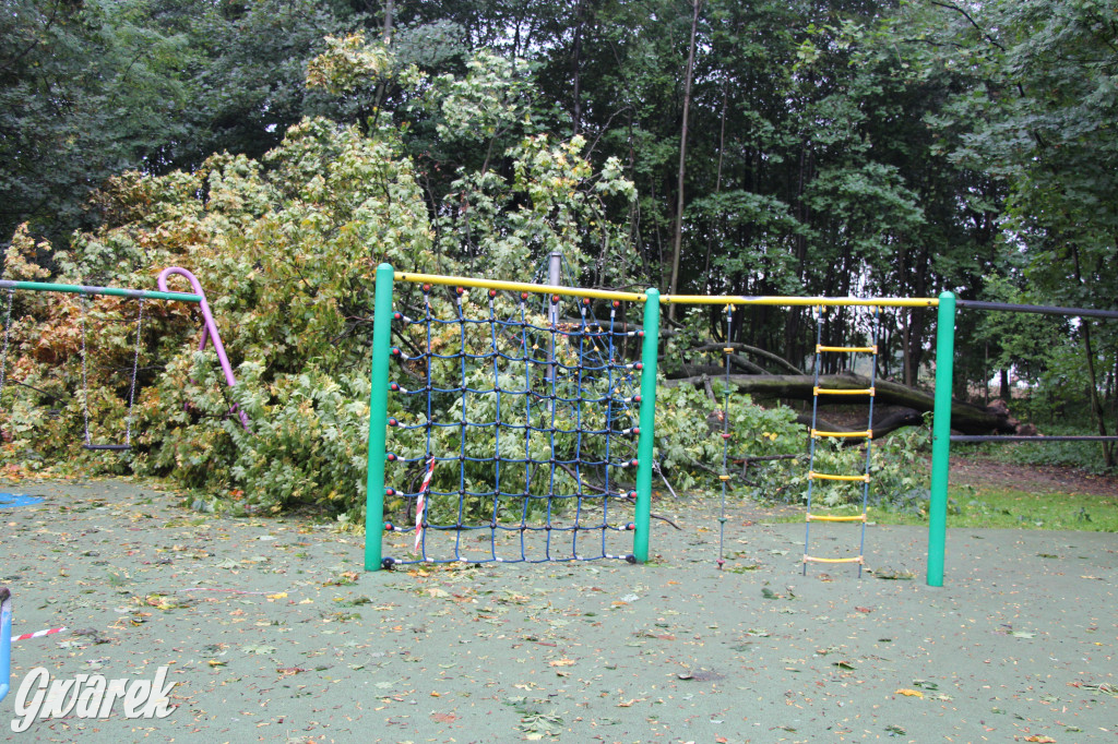 Tarnowskie Góry. Drzewo przewróciło się na plac zabaw w parku Miejskim