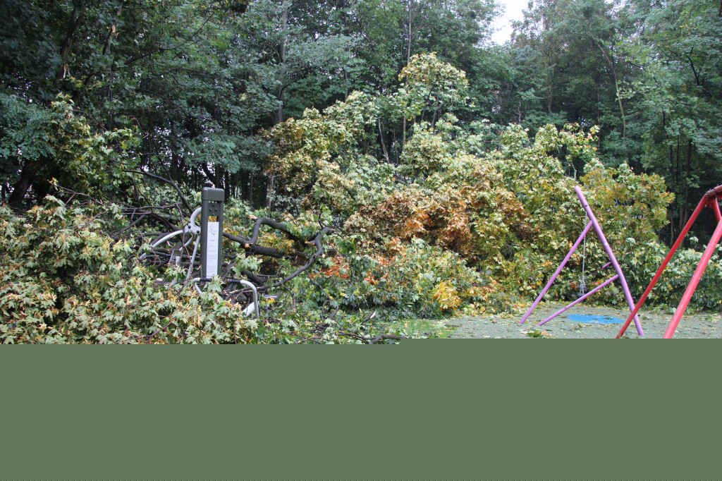 Tarnowskie Góry. Drzewo przewróciło się na plac zabaw w parku Miejskim