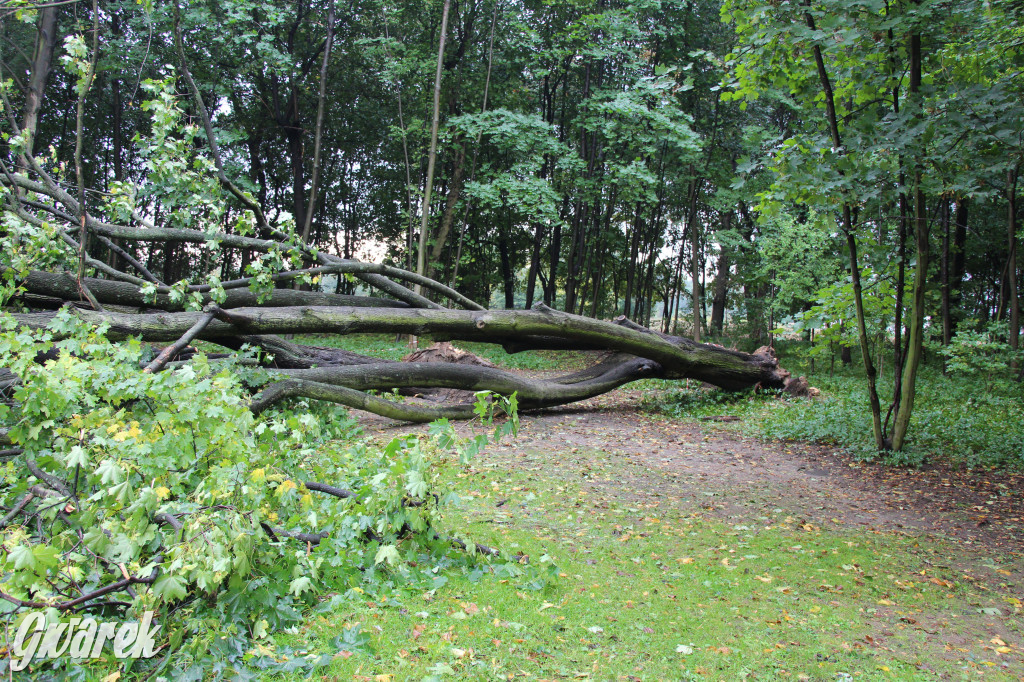 Tarnowskie Góry. Drzewo przewróciło się na plac zabaw w parku Miejskim