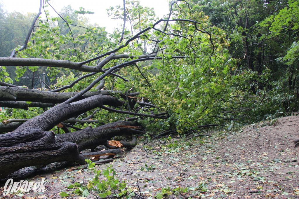 Tarnowskie Góry. Drzewo przewróciło się na plac zabaw w parku Miejskim