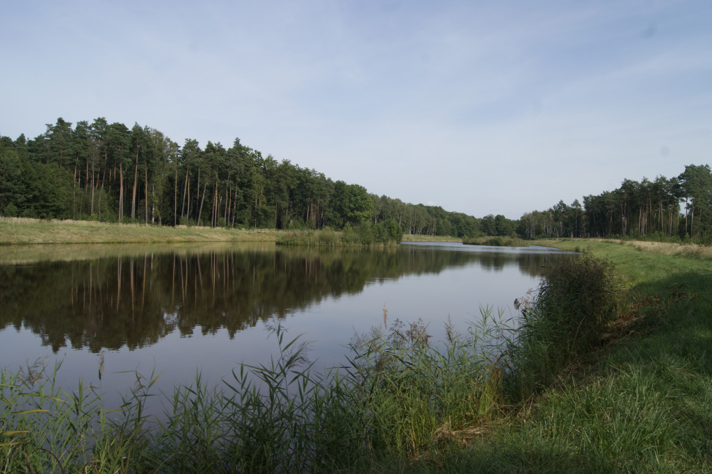 Stawy Szkarotkowe w Połomi - na jesienny wypad