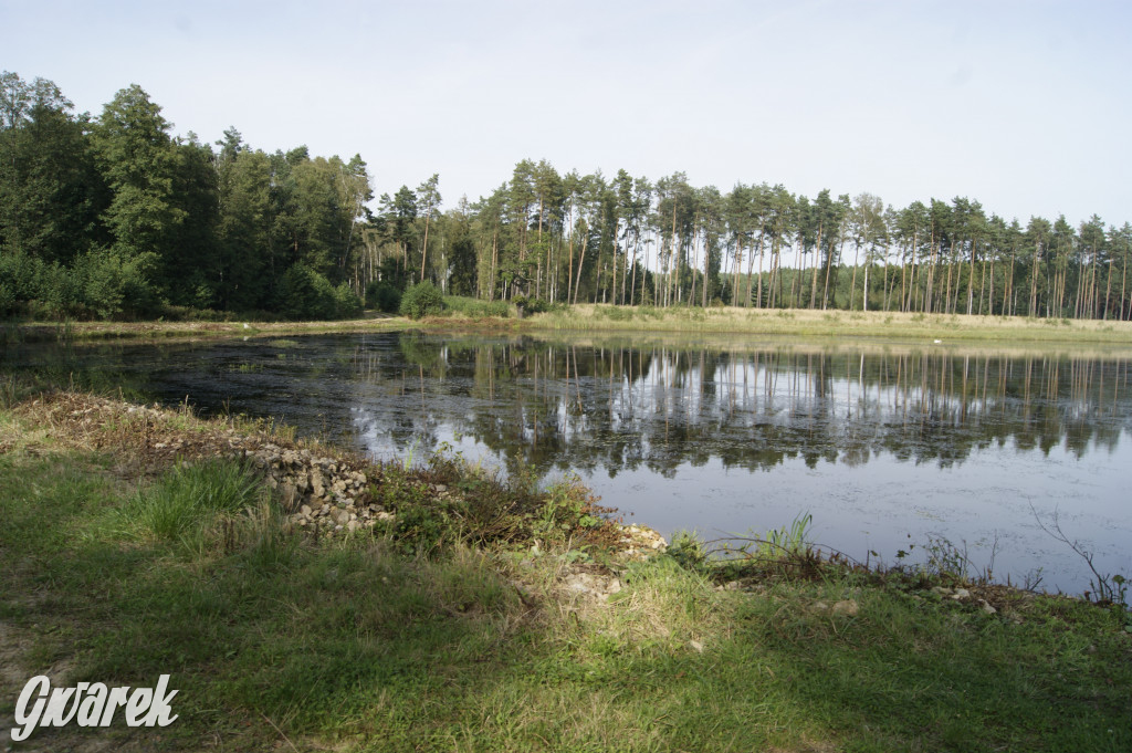 Stawy Szkarotkowe w Połomi - na jesienny wypad