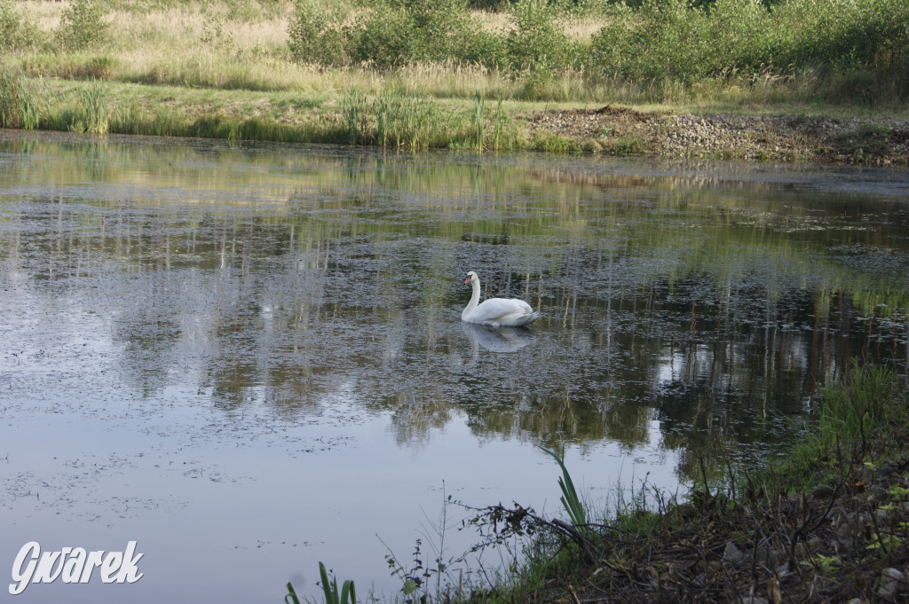 Stawy Szkarotkowe w Połomi - na jesienny wypad