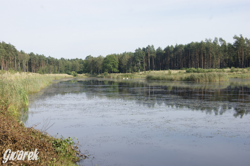 Stawy Szkarotkowe w Połomi - na jesienny wypad