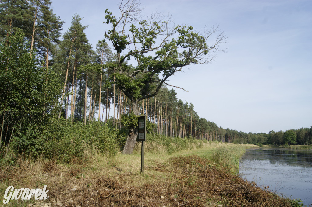 Stawy Szkarotkowe w Połomi - na jesienny wypad