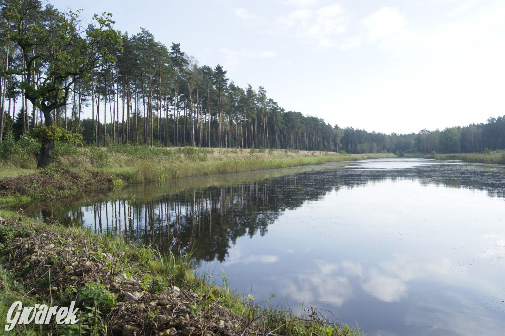 Stawy Szkarotkowe w Połomi - na jesienny wypad