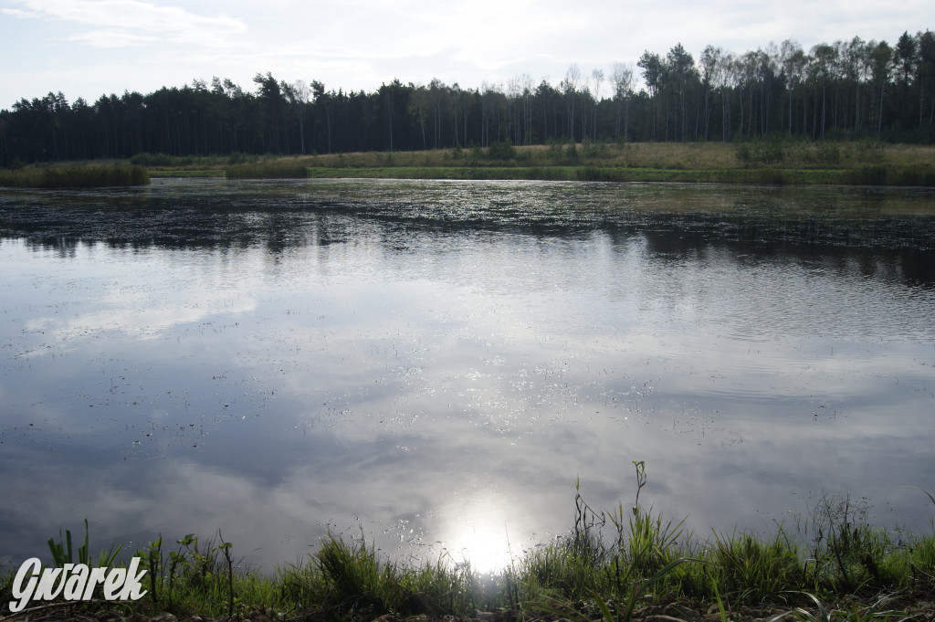 Stawy Szkarotkowe w Połomi - na jesienny wypad
