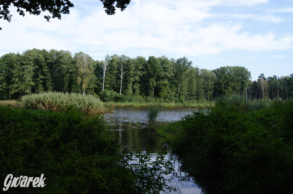 Stawy Szkarotkowe w Połomi - na jesienny wypad