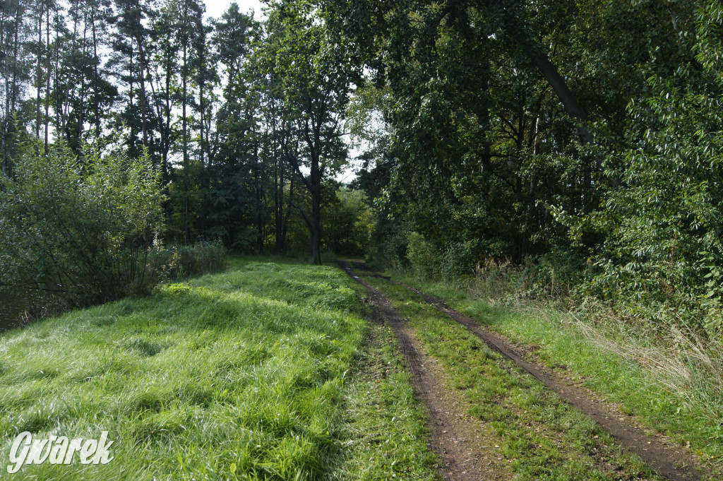 Stawy Szkarotkowe w Połomi - na jesienny wypad