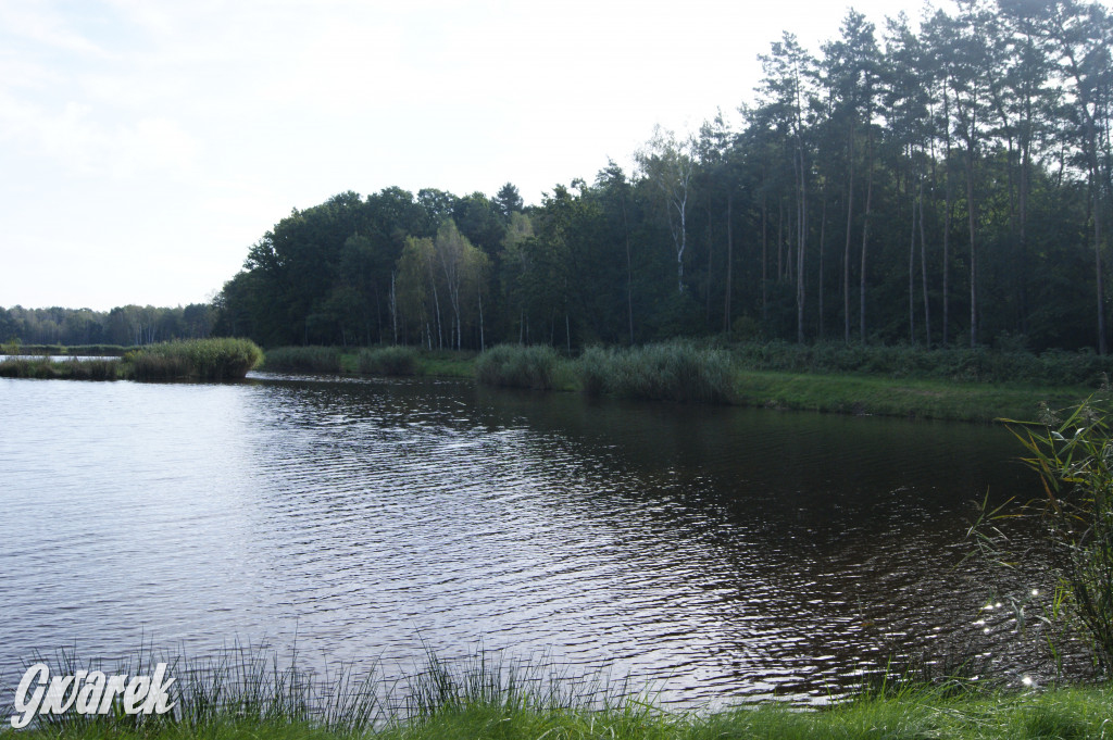 Stawy Szkarotkowe w Połomi - na jesienny wypad