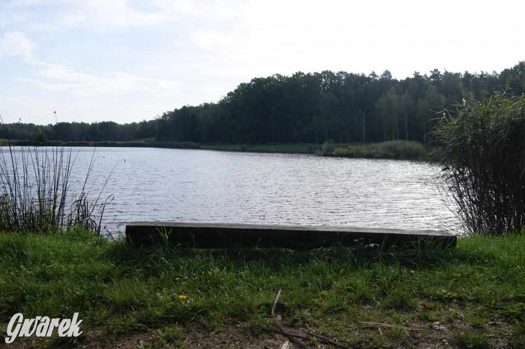 Stawy Szkarotkowe w Połomi - na jesienny wypad
