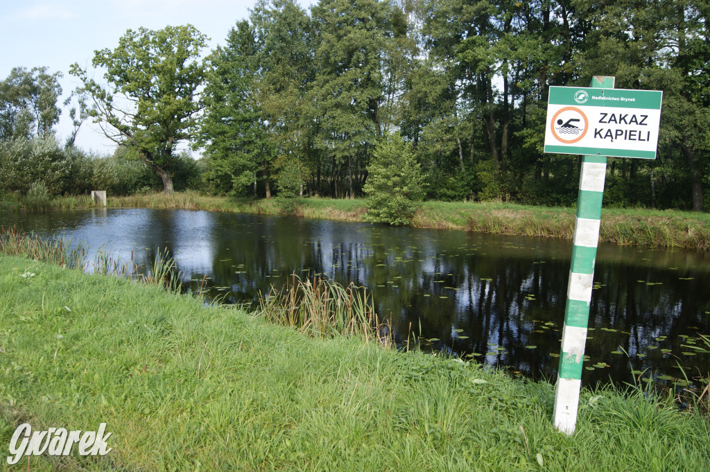 Stawy Szkarotkowe w Połomi - na jesienny wypad