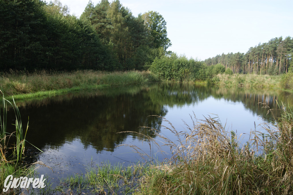 Stawy Szkarotkowe w Połomi - na jesienny wypad