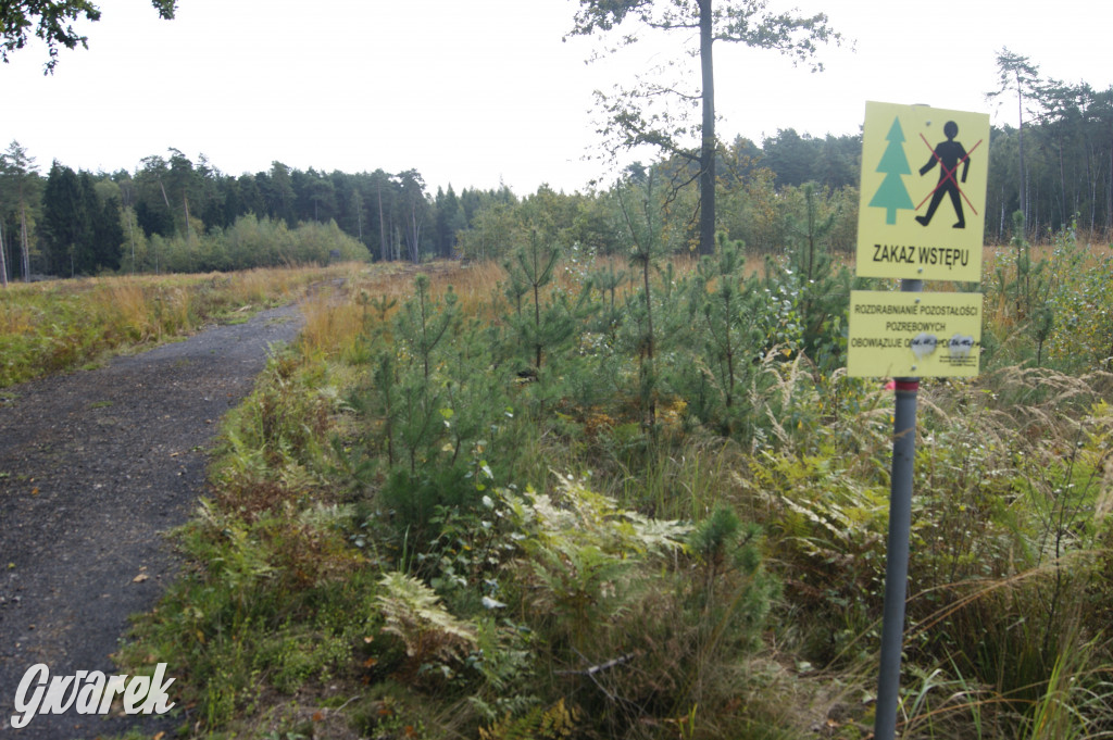Stawy Szkarotkowe w Połomi - na jesienny wypad