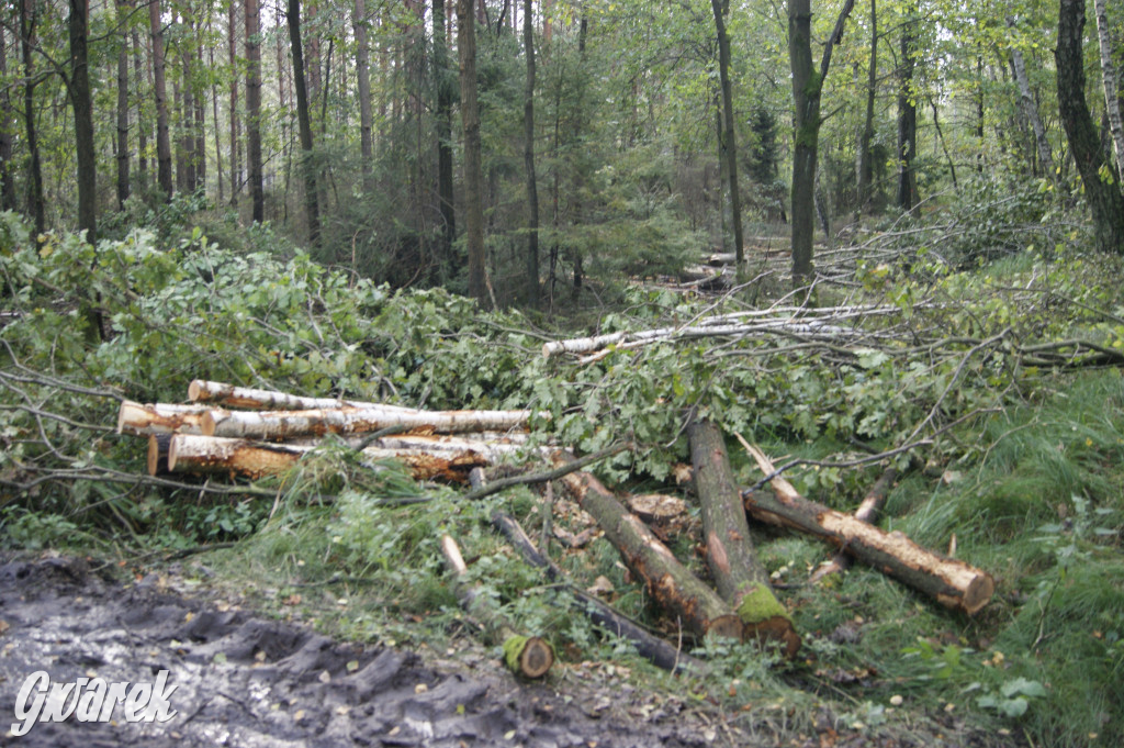 Stawy Szkarotkowe w Połomi - na jesienny wypad