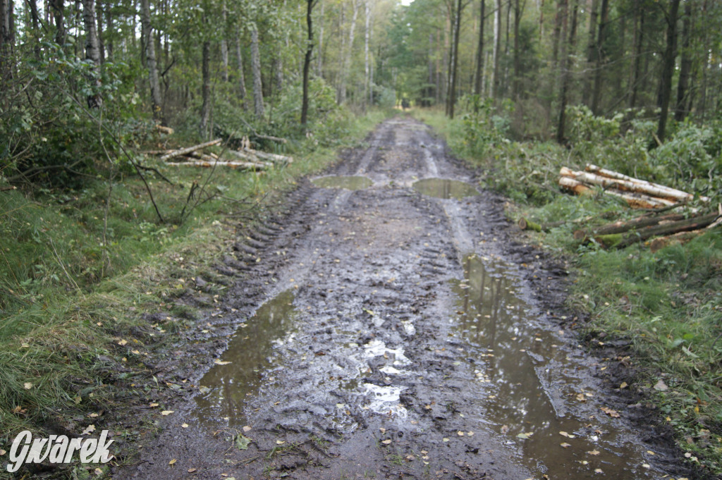 Stawy Szkarotkowe w Połomi - na jesienny wypad