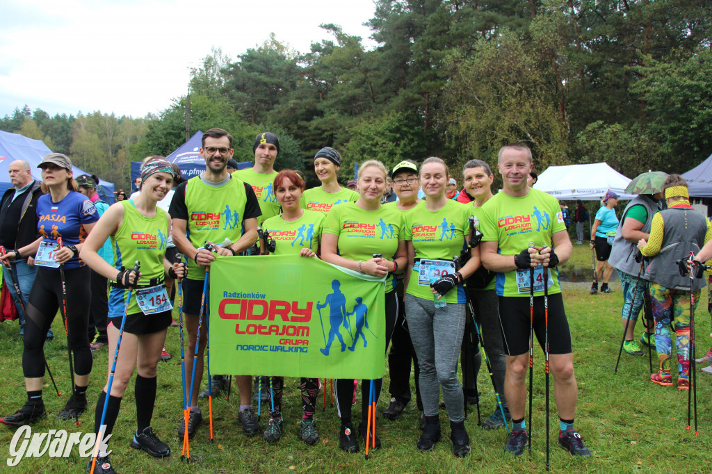 Pniowiec pod znakiem kijów