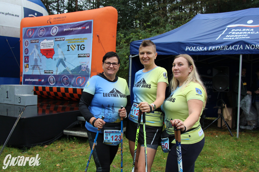 Pniowiec pod znakiem kijów