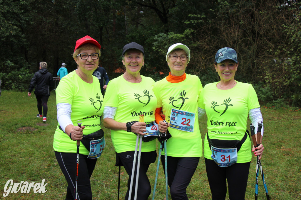 Pniowiec pod znakiem kijów