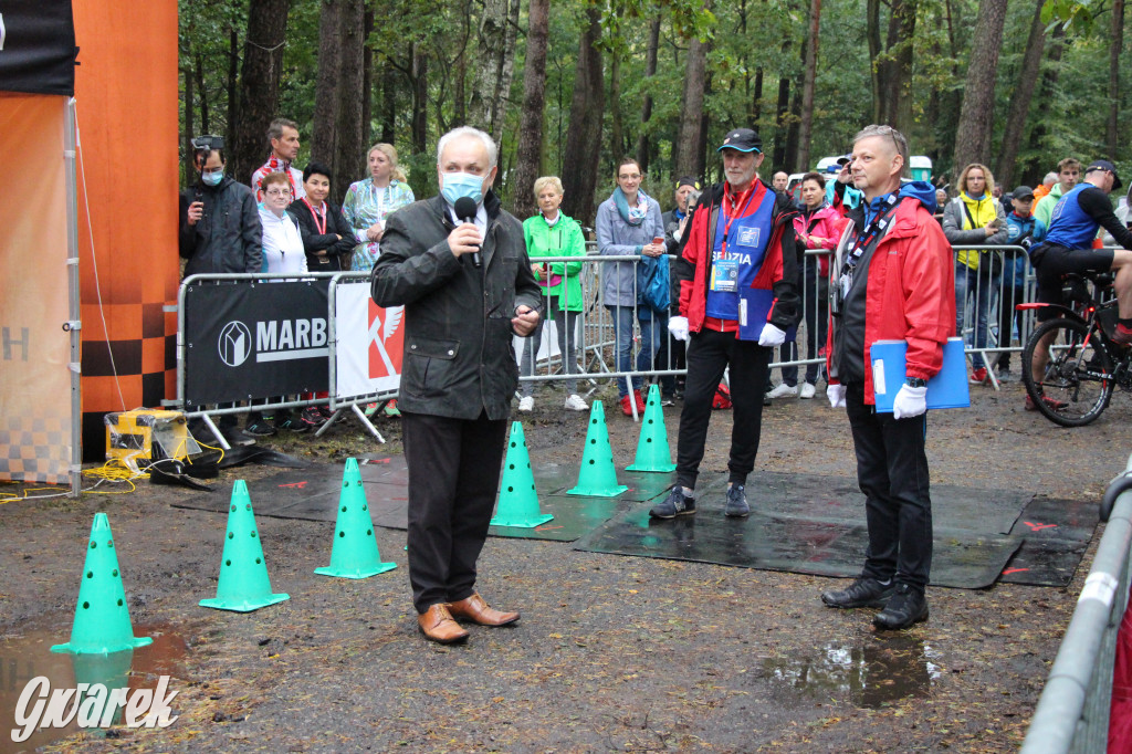 Pniowiec pod znakiem kijów