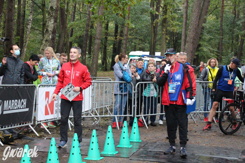 Pniowiec pod znakiem kijów