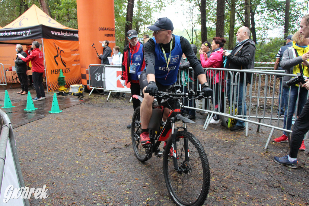 Pniowiec pod znakiem kijów