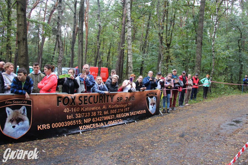 Pniowiec pod znakiem kijów